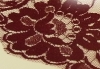 Acsa