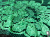 ACSA - MINT 196