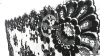 SEFORA - BLACK 2