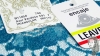MEDALLON - GREEN BLUE 591