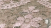 MEDALLON - ASH / PINK 837